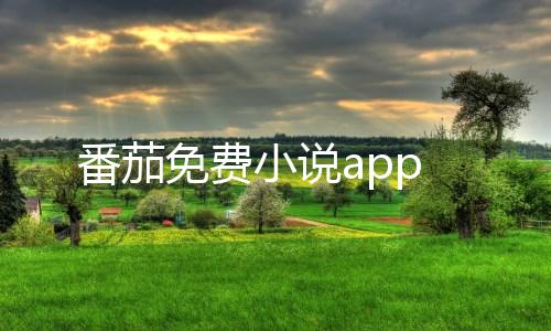 番茄免费小说app