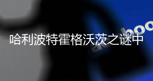 哈利波特霍格沃茨之谜中文版