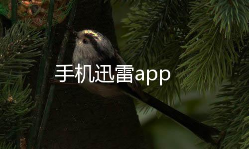 手机迅雷app