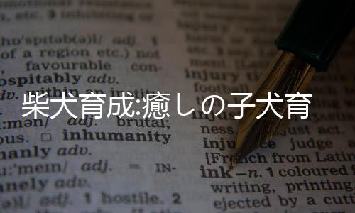 柴犬育成:癒しの子犬育成ゲーム〜柴犬編〜
