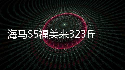 海马S5福美来323丘比特骑士海福星普力马M3瓦尔塔蓄电池汽车电瓶