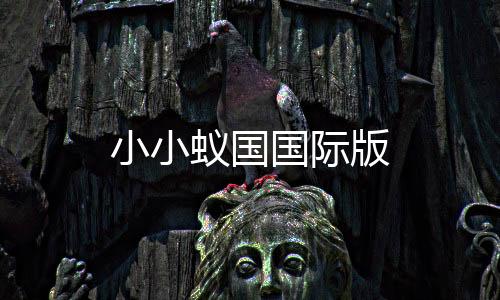 小小蚁国国际版