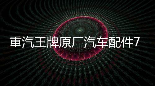 重汽王牌原厂汽车配件737B757B777B自卸货车刹车转向灯后尾灯总成