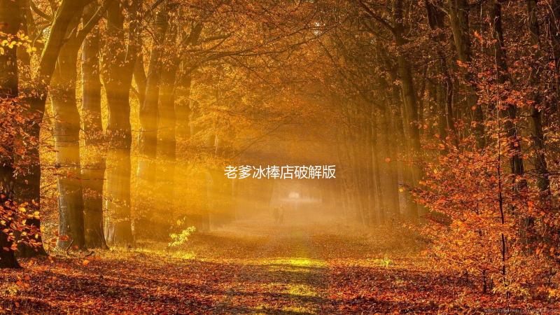 老爹冰棒店破解版