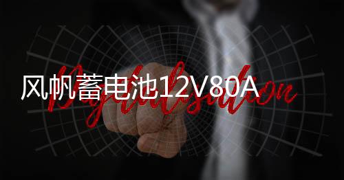 风帆蓄电池12V80AH柴油车叉车皮卡纳智捷大7五十铃汽车电瓶95D31R