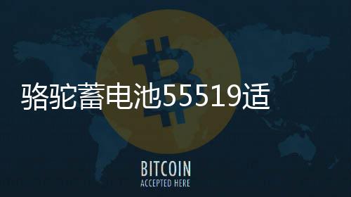 骆驼蓄电池55519适配福克斯嘉年华传祺赛欧名爵汽车电瓶12V55ah