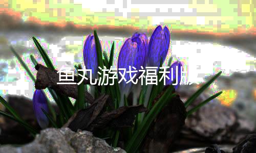 鱼丸游戏福利版