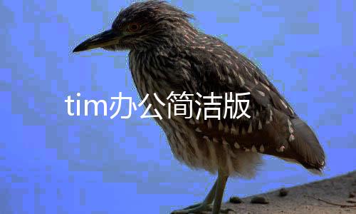 tim办公简洁版